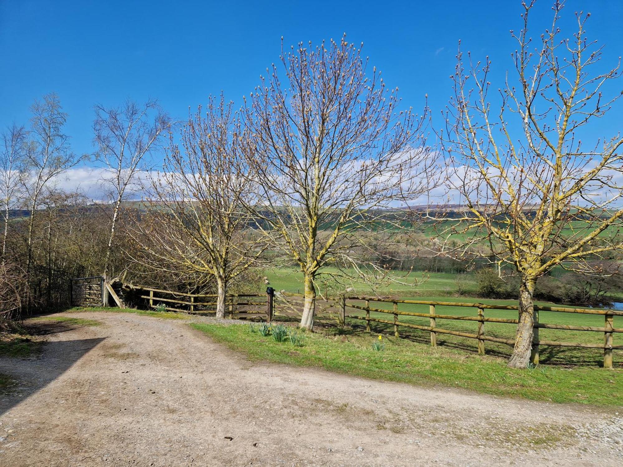 The Den, Coves House Villa Wolsingham Exteriör bild